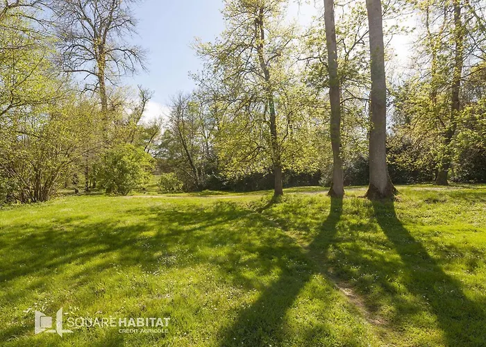 T3 4 Pers. Avec Terrasse, Wifi, Parking, Animaux Admis - Fr-1-841-58 Barbotan-les-Thermes